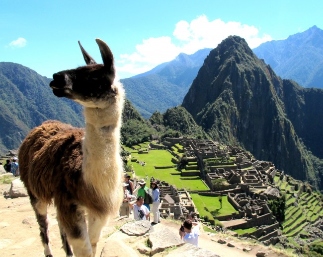 Exploring Cusco and Machu Picchu