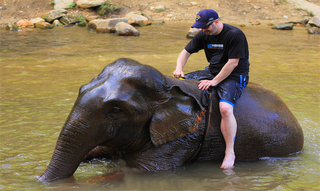 Patara Elephant Farm