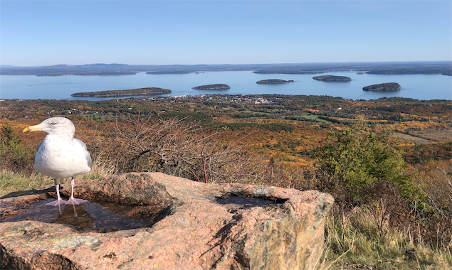 A Day in Acadia National Park